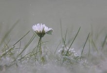 В Казахстане ожидаются заморозки