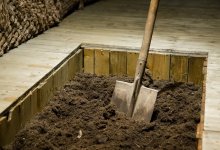 Мужчина заживо закопал жену, но ей удалось выжить