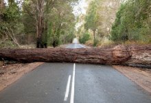 Забавы ради: жители ВКО загородили автодорогу бревнами и убежали (ВИДЕО)