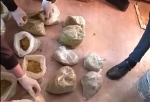 24 кг гашиша закопал астанчанин на своем огороде