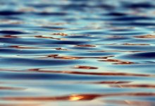 400 млн кубометров паводковых вод направили в оросительную систему ЗКО