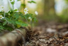 Названы регионы страны, подверженные риску наступления засухи