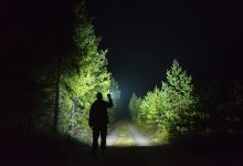 Бродячую семью с шестью детьми нашли в лесу под Павлодаром