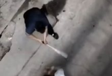 Массовую драку сняли на видео в селе Атакент