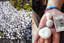 Град размером с грецкий орех выпал в СКО