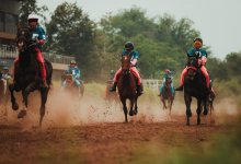 Лошадь Сайгон принесла своему наезднику 5 млн тенге на чемпионате Казахстана по байге