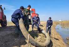 Спасатели устранили разрыв дамбы на канале Сарыозек