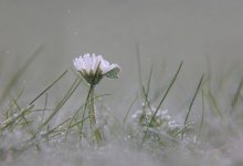 Заморозки ожидаются в Казахстане