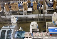 Бектенов проинспектировал работу АПК в Акмолинской области