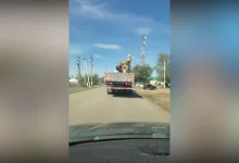 Памятник учителю, установленный выпускниками школы, снесли в селе ЗКО