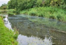 Двухлетний ребенок упал в канал в Таразе (ВИДЕО)