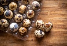 Перепелиные яйца пытались незаконно ввезти в Казахстан из Китая