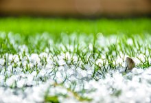 Град и шквалистый ветер пообещали синоптики