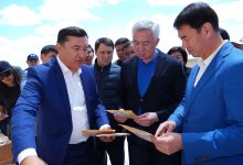 Новая откормочная площадка для скота строится в Арыси