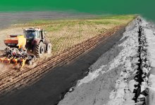 Более 500 гектаров посевных площадей находятся в опасной зоне в Атырауской области