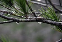 Какой будет погода в Казахстане 23 мая