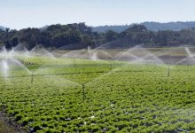 Колоссальный объем воды направлен в Туркестанскую область