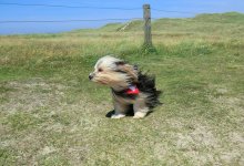 Шторм надвигается на Атыраускую область