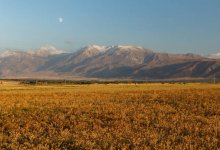 Проблему земельных споров в регионах поднял депутат