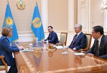 Токаев принял директора Центра перинатологии и детской кардиохирургии