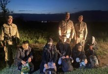 Граждане Афганистана заплатили по 7 тысяч долларов, чтобы перейти госграницу в ЗКО