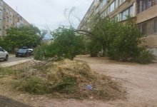 На уничтожение зеленой травы жалуются жители Актау