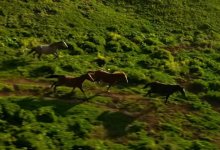 Пейзаж плато Ассы заворожил казахстанцев (ВИДЕО)