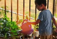 Чтоб полюбить труд