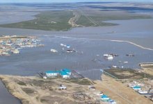 Паводки в Казахстане: владельцам павших животных выплатили компенсации