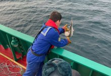 На семь млн тенге оштрафовали рыбаков Каспия