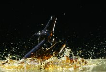 В Аксу трактор раздавил более тысячи бутылок алкоголя (ВИДЕО)