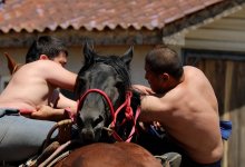 V Всемирные игры кочевников: как проходит подготовка