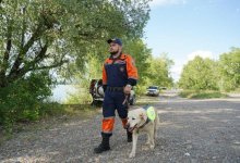 Не пускает пьяных в воду: собака-спасатель Хит умилила казахстанцев (ВИДЕО)