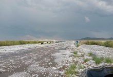 Жители области Абай столкнулись с разрушительным градом (ВИДЕО)