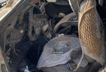 ДТП с лошадью в Жанаозене: пострадала семья с грудным ребенком