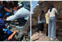 Активисты "Жастар Рухы" и волонтеры очистили от мусора территории нацпарков (ВИДЕО)