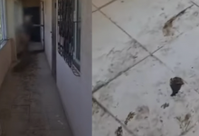 Голая женщина годами пугает актауцев