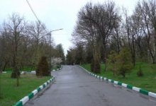 Руководство дендропарка в Шымкенте подозревается в хищении 14,7 млн тенге