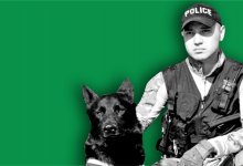 Пес Додди стал символом безопасности на транспорте Казахстана