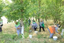 Проект "Образцовый аул" стартовал в Туркестанской области