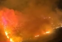 Казахстанцы подожгли остров в Греции