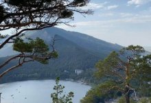 Строительство забора, отделяющего села от леса, возмутило жителей Бурабая (ВИДЕО)