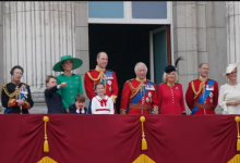 Британская принцесса получила сотрясение мозга