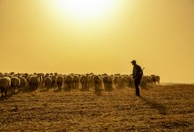 Кыргызстанец сбежал из трудового рабства в Казахстане – СМИ