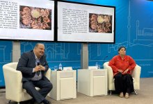 Шансы Алматы стать по-настоящему зеленым городом оценили специалисты