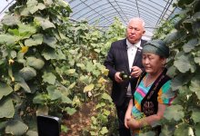 Депутат Мажилиса: Проект "Ауыл аманаты" повышает доходы населения