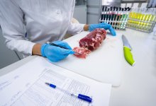 Кишечную палочку нашли в трех детсадах Байконура