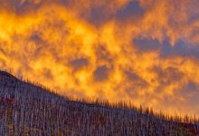 Сильный лесной пожар разгорается в России (ВИДЕО)