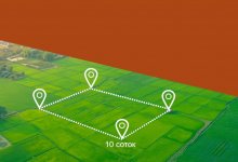 Земельные участки незаконно выдавали в области Абай