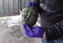 Жителя Алматы поймали с килограммом синтетики в СКО